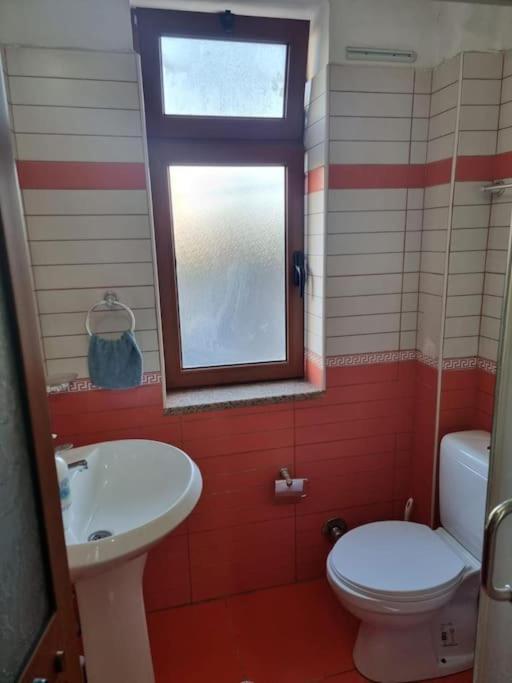 Aunt'S Place Szkodra Zewnętrze zdjęcie